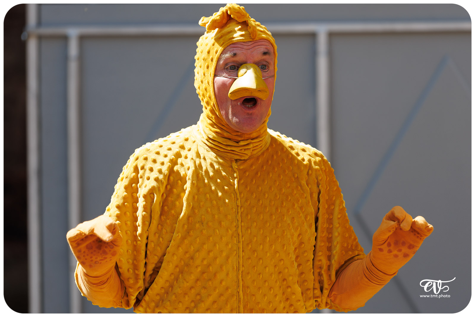 UN POUR TOUS TOUS POUSSIN ! - LES ARTS PITRES